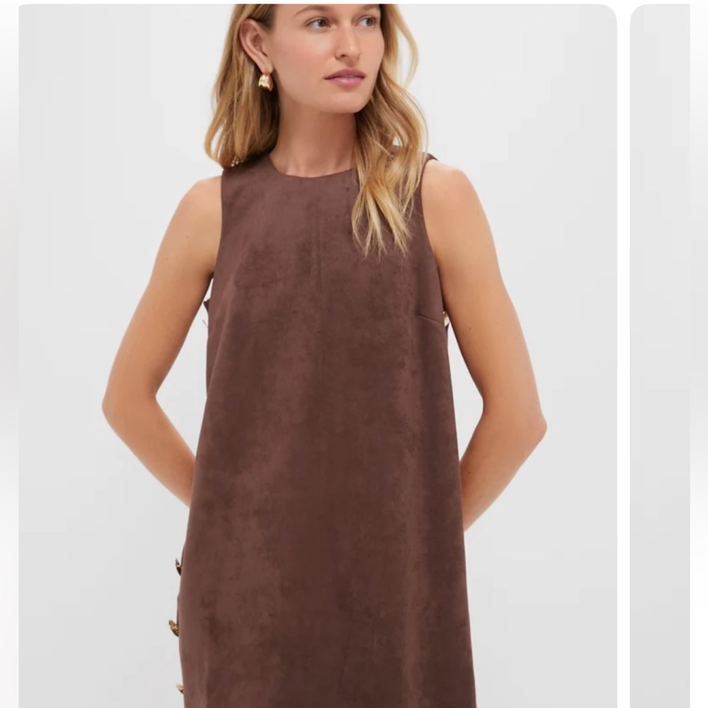 Tuckernuck Brown Mini Dress EUC